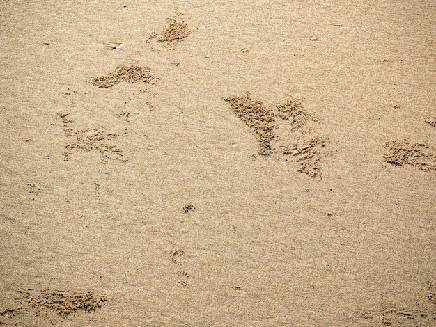 Patterns Texture of sand on the beach