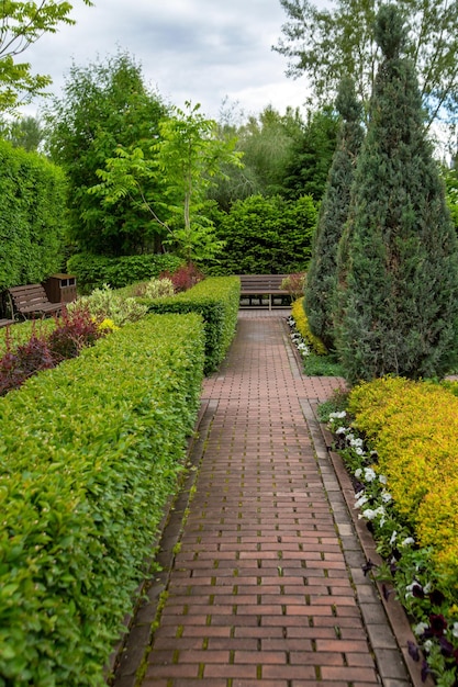 Paved alley in a landscape park among trimmed green bushes Resting place public park in the city