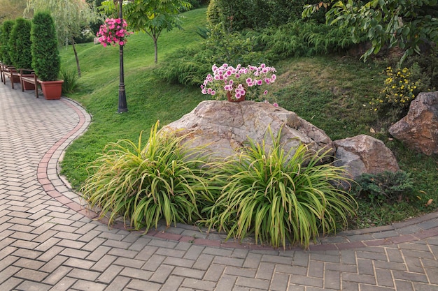 Paved alley of the park with trimmed bushes and trees. Topiary art. Landscaping.