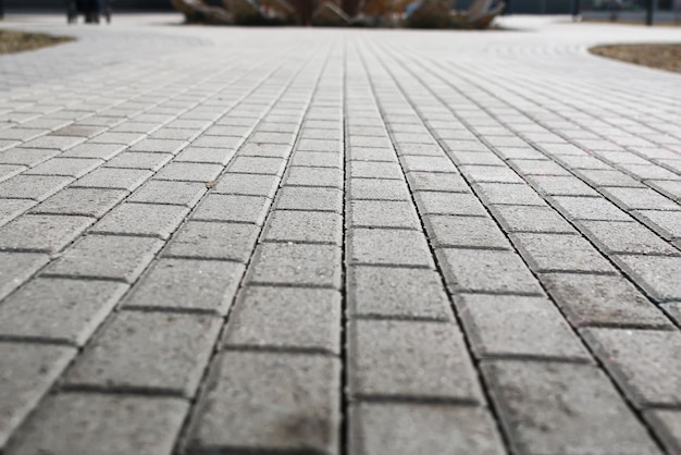 Paved cobblestone pavement