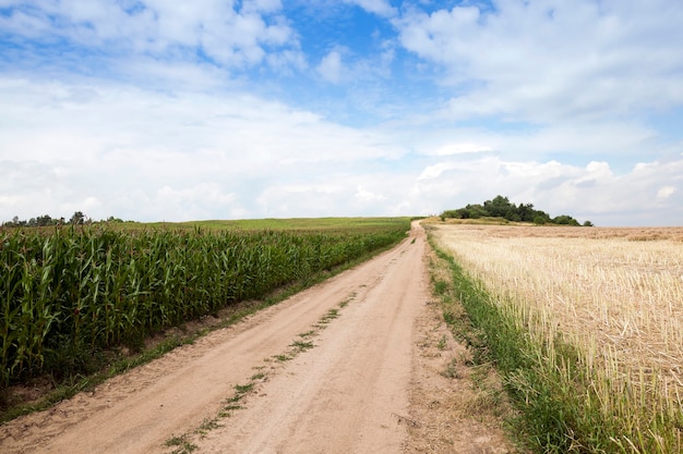 Paved country road, passing through an agricultural field