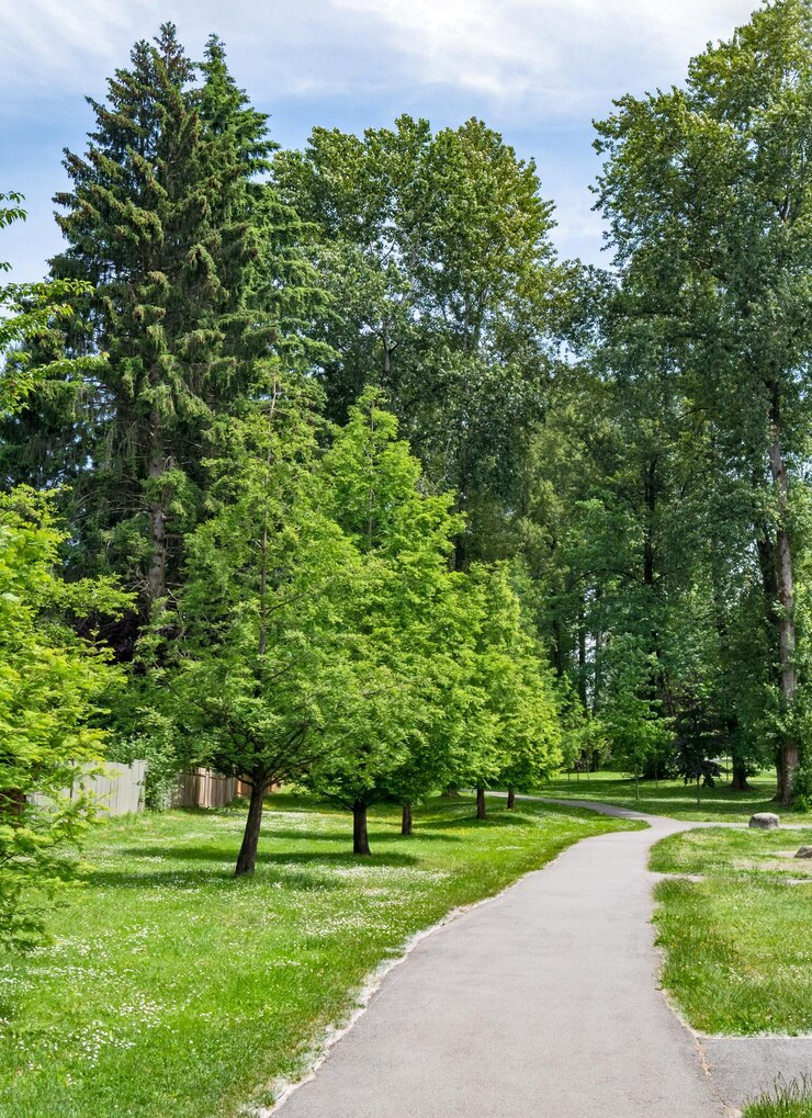 Paved pathway in a park through residential area in vancouver canada