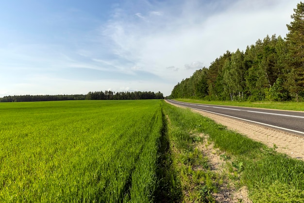 Strada asfaltata per il traffico automobilistico