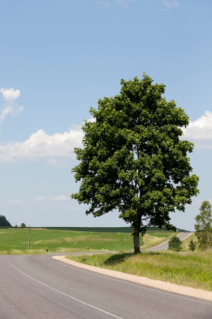 Paved road for the movement of various vehicles, an old road with defects on the asphalt