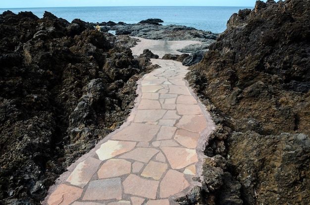 Pavement Path Laid Concrete Pavement Blocks with Stone Chip Topping