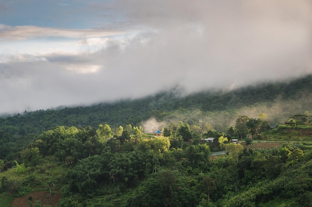 Павильон на холме с туманом и облачностью, покрытым тропическим лесом в сельской местности