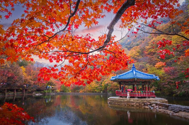 Павильон посреди небольшой набережной при закате солнца и красочных осенних листьях в национальном парке Нейжансан, Южная Корея