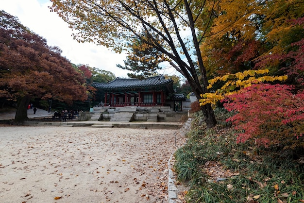 Paviljoen in het Changdeokgung-paleis tijdens het herfstseizoen