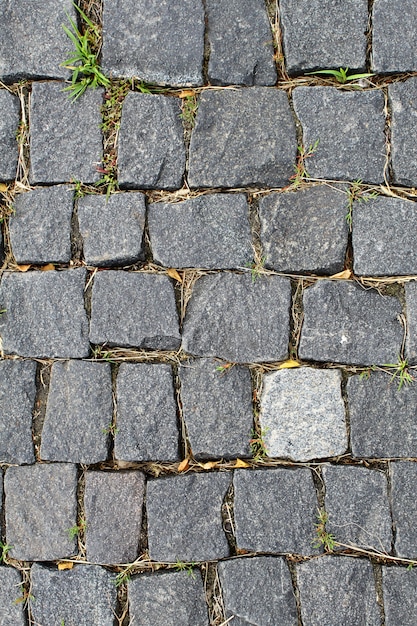 Photo paving stone