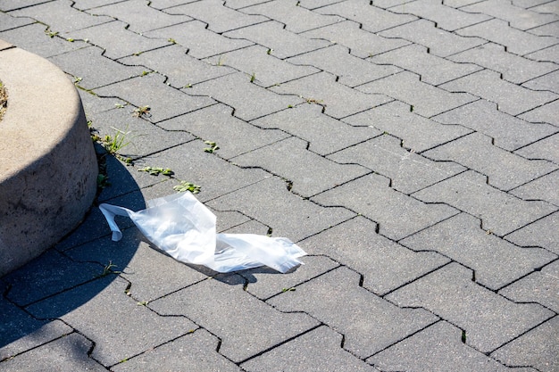 Photo paving stones in the street