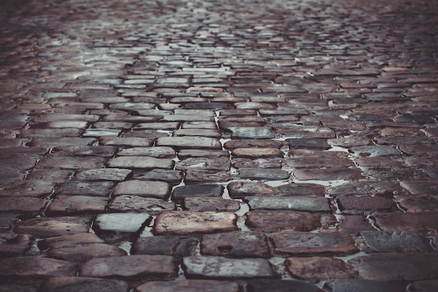 Pavingstones after the rain