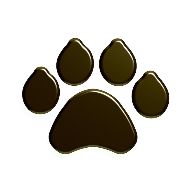 Photo paw print isolated in white background 3d render illustration