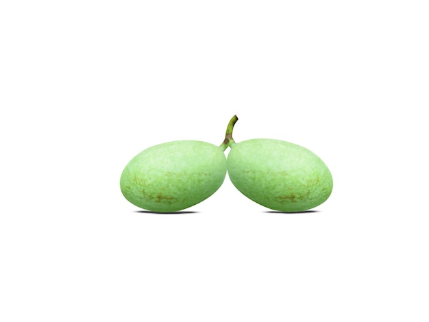 Pawpaw fruits have a sweet custardlike flavor somewhat similar to banana mango and cantaloupe