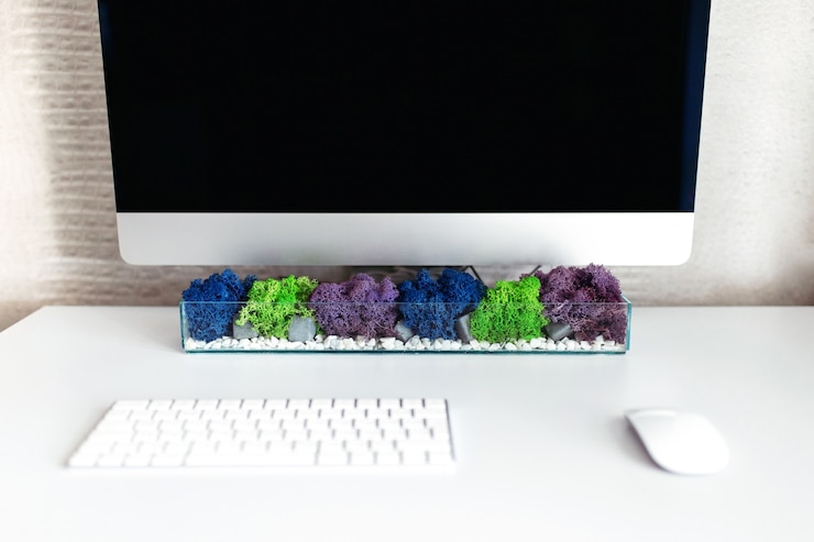 Photo pc and glass rectangular mossarium on white table. table decor concept