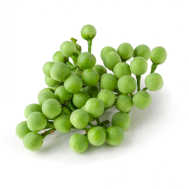 Pea Eggplants or turkey berry isolated over white background
