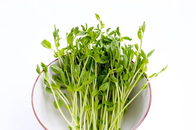 Pea Sprouts in bowl on white background.