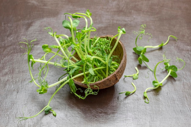 Pea sprouts in a coconut shell Copy space