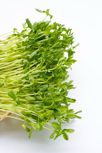 Pea Sprouts on white background.