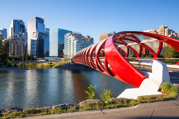 Peace Bridge across Bow River during a vibrant summer sunrise