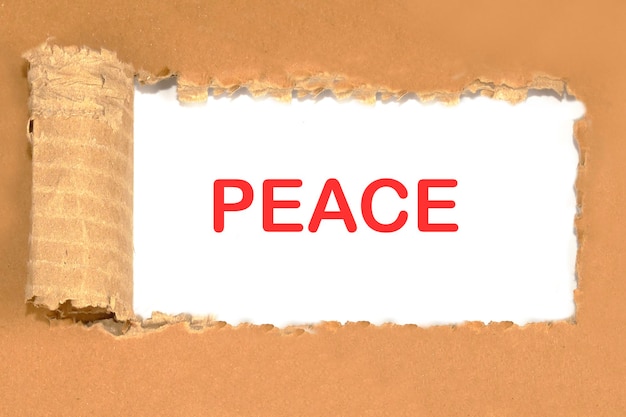 찢어진 판지를 통해 흰 종이에 PEACE 글자 지구상의 평화 개념