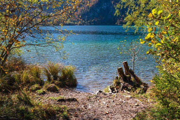 静かな秋のアルプス山湖 オッセン湖 ザルツカンマーグート アッパー オーストリア