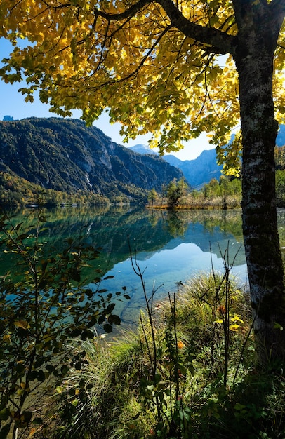 Peaceful autumn Alps mountain lake with clear transparent water and reflections Almsee lake Upper Austria
