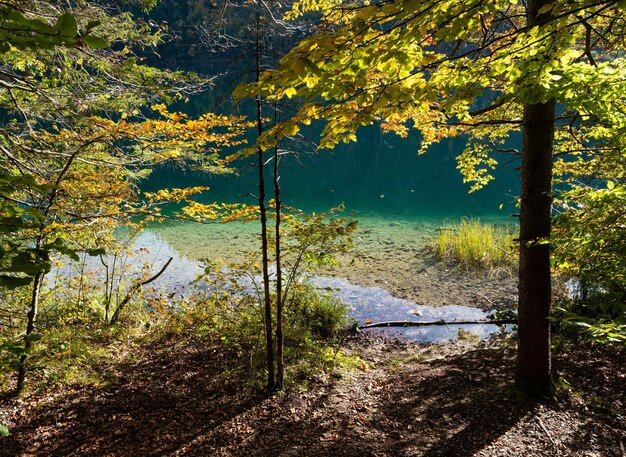 澄んだ透明な水と反射と静かな秋アルプス山湖ラングバッセーン湖アッパー オーストリア