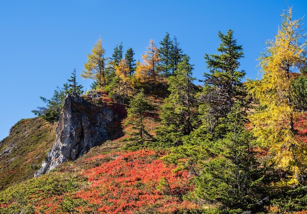 Peaceful autumn Alps mountain sunny view from hiking path from Dorfgastein to Paarseen lakes Land Salzburg Austria