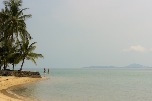 Peaceful beach in Koh Phangan with palm trees, and young couple on paddle board in the background and the island of Koh Samui, in Thailand