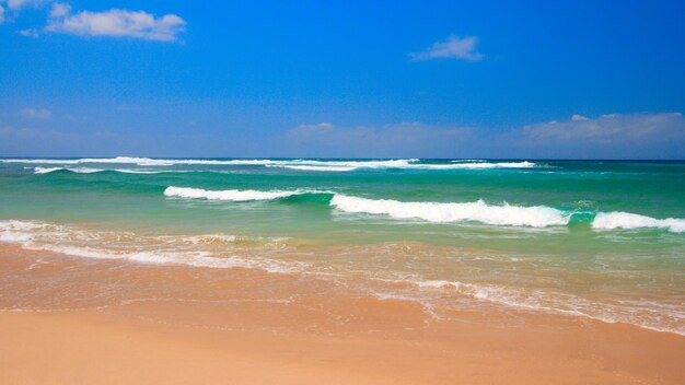 Peaceful beach scene