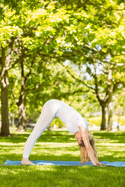 Peaceful blonde doing yoga in the park