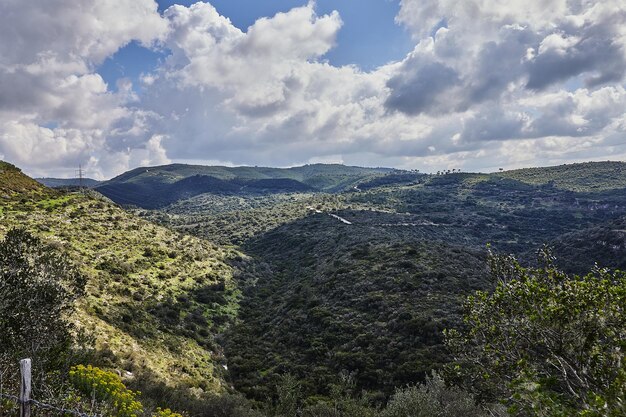 Peaceful Green Hills and Cloudy Blue Sky Landscape with Vibrant Colors