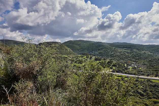 Photo peaceful green hills and cloudy blue sky landscape with vibrant colors