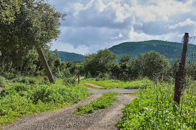 Peaceful green hills with a path and a cloudy blue sky landscape with colorful flowers