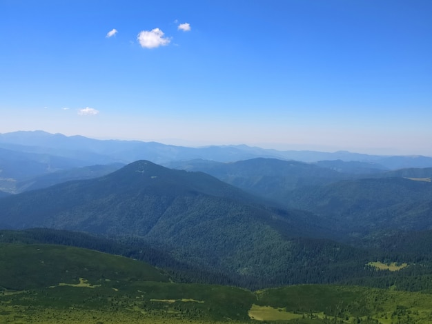 澄んだ青い空の下で草や木々に覆われた静かな緑の山々