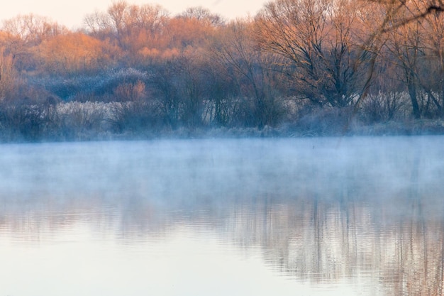 Peaceful lake in the mist. Fog over pond at morning