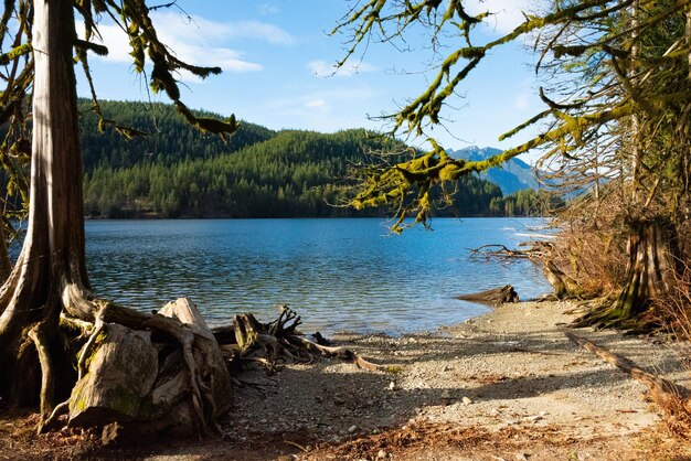 Photo peaceful landscape of buntzen lake