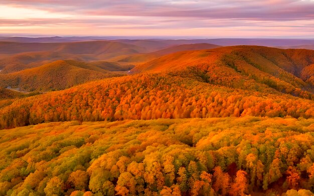 Photo a peaceful landscape with forest in hil