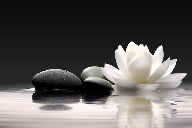 Photo a peaceful lotus flower reflects in a tranquil pool of wate a perfect zen concept for massage and meditation
