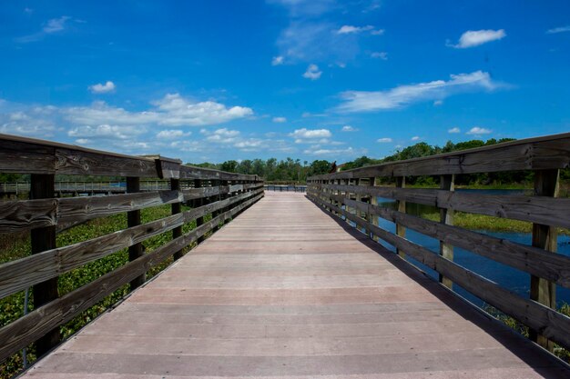 A peaceful place to go for a walk a lovely boardwalk that lead you to lake lotus