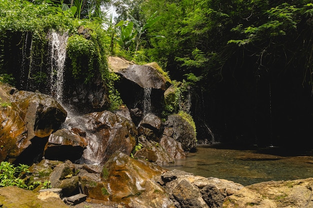 Мирное место. Мощный водопад в джунглях и место для купания и медитации, концепция экзотической природы