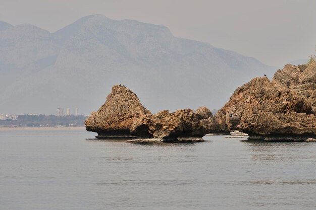 静かな海の景色と崖