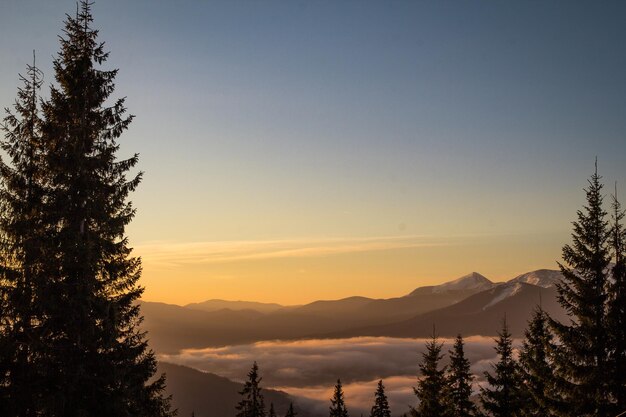 写真 山脈とトウヒの風景写真の静かな夕日の景色