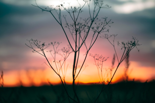 Peaceful view of sunrise light