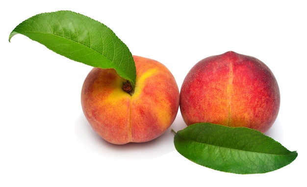 Peach fruit whole with leaf isolated on white background Perfectly retouched full depth of field on the photo Flat lay top view