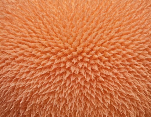 Foto peach fuzz textuur kleur van het jaar