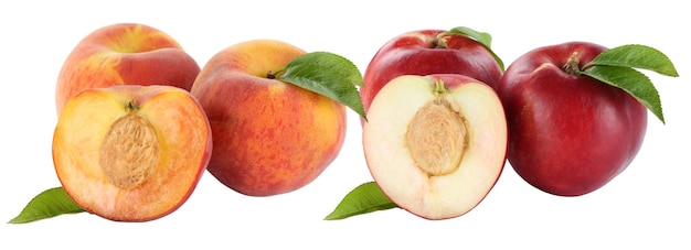 Peach peaches fruit fruits and nectarine nectarines isolated on white