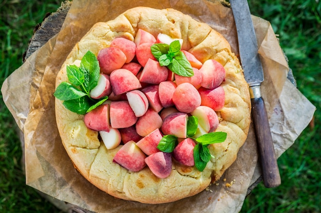 Peach pie and mint closeup top view