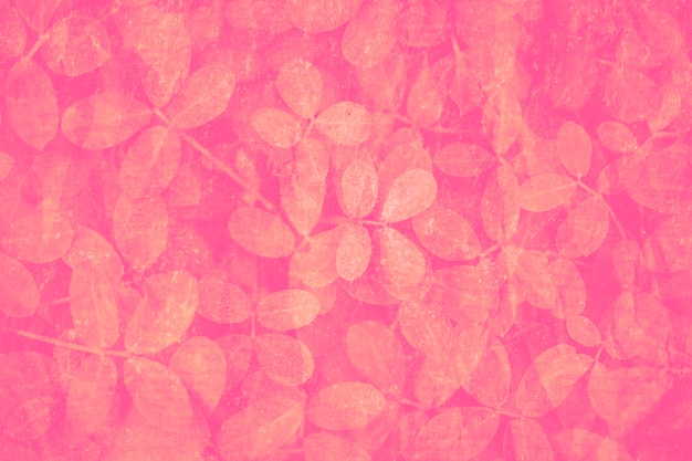 Peach pink leaves pattern on a hot pink background