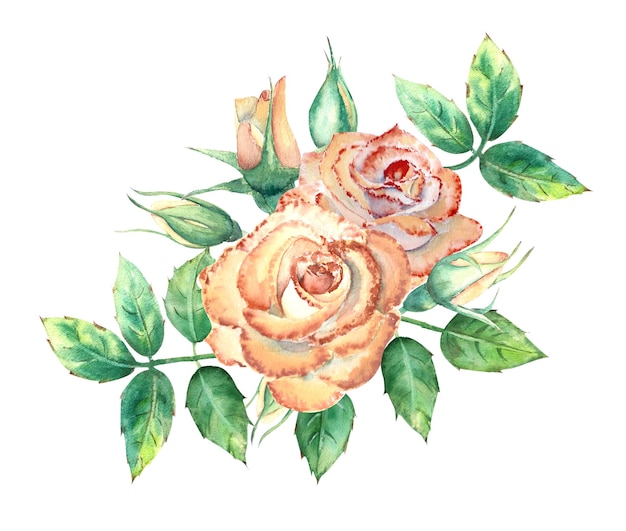 Rose pesca, foglie verdi, fiori aperti e chiusi. un mazzo di fiori per biglietti di auguri o inviti. illustrazione dell'acquerello.